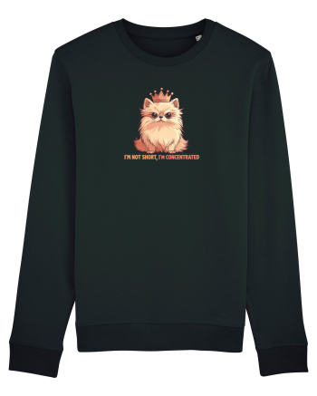 I`M NOT SHORT, I`M CONCENTRATED - POMERANIAN 2 Black