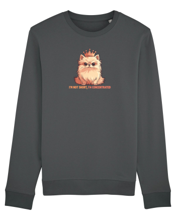 I`M NOT SHORT, I`M CONCENTRATED - POMERANIAN 2 Anthracite