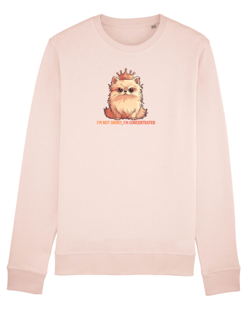 I`M NOT SHORT, I`M CONCENTRATED - POMERANIAN 2 Candy Pink
