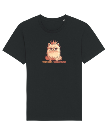 I`M NOT SHORT, I`M CONCENTRATED - POMERANIAN 2 Black