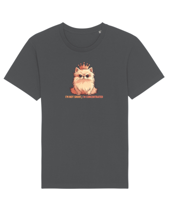 I`M NOT SHORT, I`M CONCENTRATED - POMERANIAN 2 Anthracite