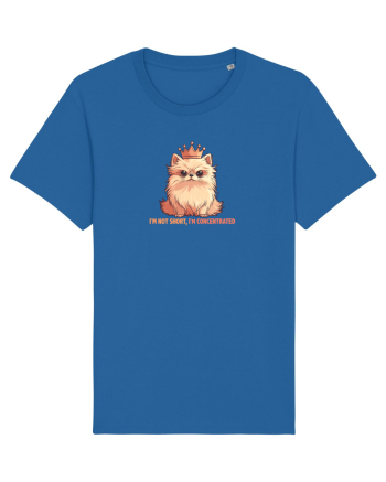 I`M NOT SHORT, I`M CONCENTRATED - POMERANIAN 2 Royal Blue