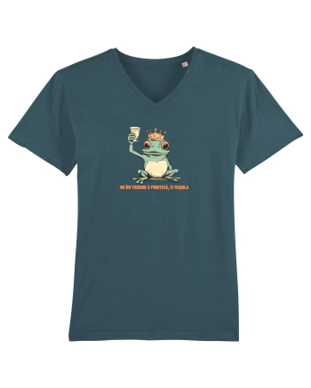 NU IMI TREBUIE O PRINTESA, CI TEQUILA - PRINT BROSCOI Stargazer