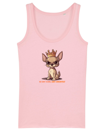 NU SUNT SCUND, SUNT CONCENTRAT - CHIHUAHUA 1 Cotton Pink