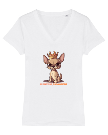 NU SUNT SCUND, SUNT CONCENTRAT - CHIHUAHUA 1 White