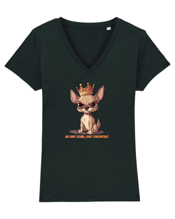 NU SUNT SCUND, SUNT CONCENTRAT - CHIHUAHUA 1 Black