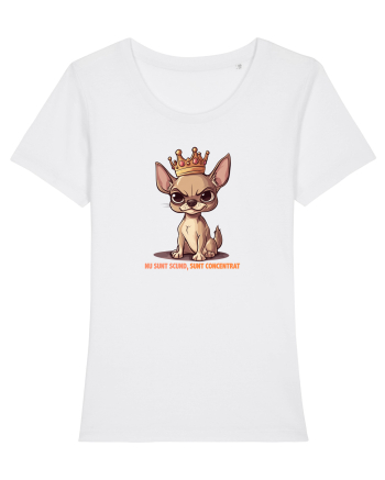 NU SUNT SCUND, SUNT CONCENTRAT - CHIHUAHUA 1 White