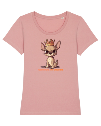 NU SUNT SCUND, SUNT CONCENTRAT - CHIHUAHUA 1 Canyon Pink