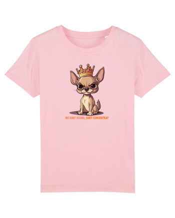 NU SUNT SCUND, SUNT CONCENTRAT - CHIHUAHUA 1 Cotton Pink