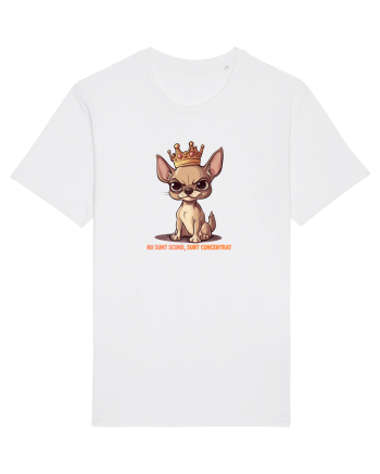 NU SUNT SCUND, SUNT CONCENTRAT - CHIHUAHUA 1 White