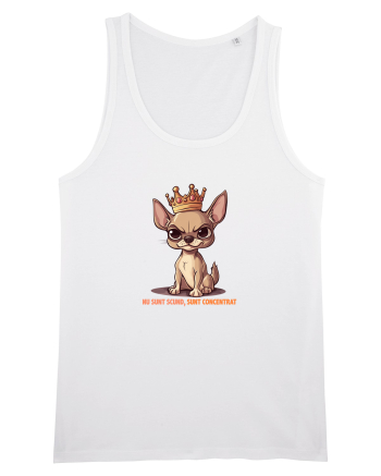 NU SUNT SCUND, SUNT CONCENTRAT - CHIHUAHUA 1 White