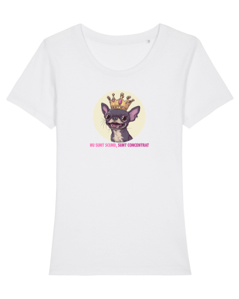 NU SUNT SCUND, SUNT CONCENTRAT - CHIHUAHUA 2 White