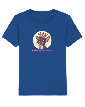 NU SUNT SCUND, SUNT CONCENTRAT - CHIHUAHUA 2 Majorelle Blue