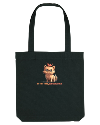 NU SUNT SCUND, SUNT CONCENTRAT - POMERANIAN Black