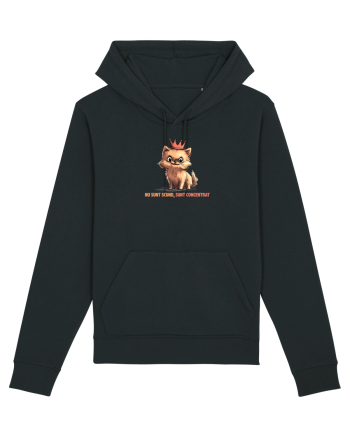 NU SUNT SCUND, SUNT CONCENTRAT - POMERANIAN Black