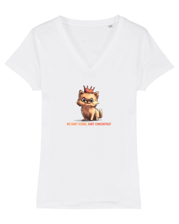NU SUNT SCUND, SUNT CONCENTRAT - POMERANIAN White