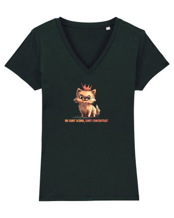 NU SUNT SCUND, SUNT CONCENTRAT - POMERANIAN Black