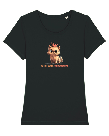 NU SUNT SCUND, SUNT CONCENTRAT - POMERANIAN Black
