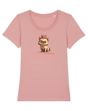 NU SUNT SCUND, SUNT CONCENTRAT - POMERANIAN Canyon Pink