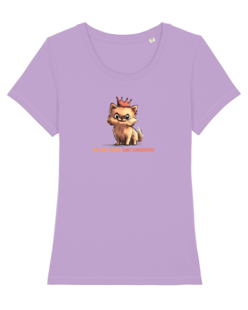 NU SUNT SCUND, SUNT CONCENTRAT - POMERANIAN Lavender Dawn