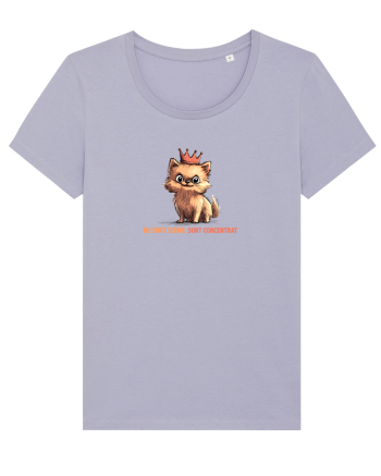 NU SUNT SCUND, SUNT CONCENTRAT - POMERANIAN Lavender