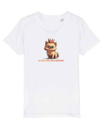 NU SUNT SCUND, SUNT CONCENTRAT - POMERANIAN White