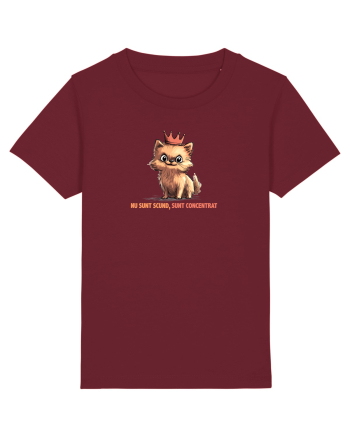 NU SUNT SCUND, SUNT CONCENTRAT - POMERANIAN Burgundy