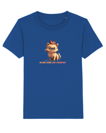 NU SUNT SCUND, SUNT CONCENTRAT - POMERANIAN Majorelle Blue