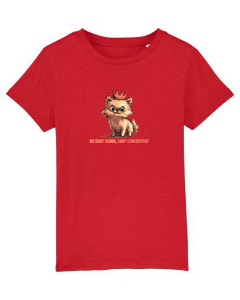 NU SUNT SCUND, SUNT CONCENTRAT - POMERANIAN Red