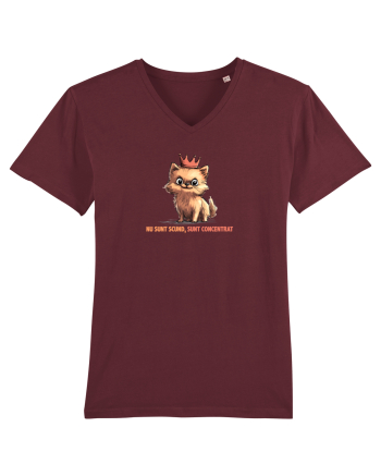 NU SUNT SCUND, SUNT CONCENTRAT - POMERANIAN Burgundy
