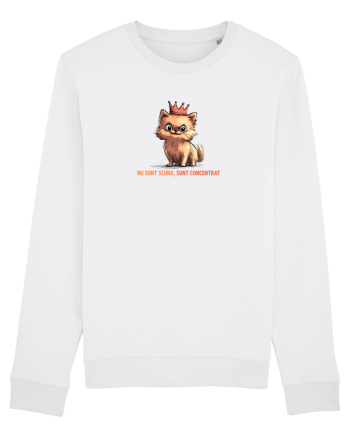 NU SUNT SCUND, SUNT CONCENTRAT - POMERANIAN White