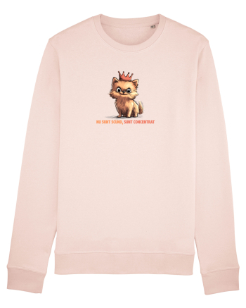 NU SUNT SCUND, SUNT CONCENTRAT - POMERANIAN Candy Pink