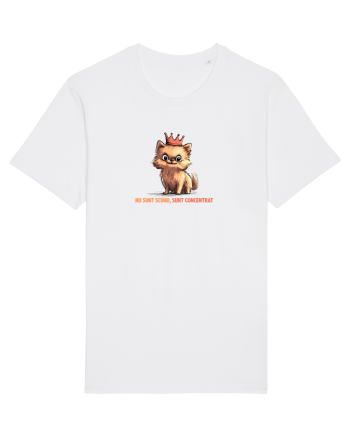 NU SUNT SCUND, SUNT CONCENTRAT - POMERANIAN White