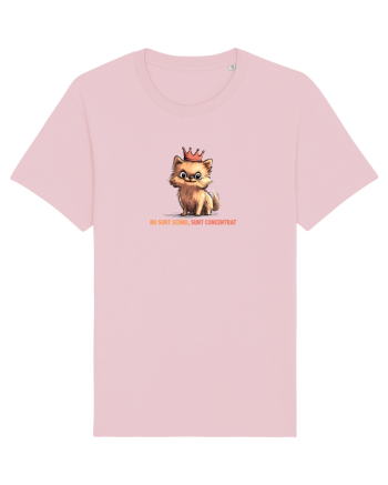 NU SUNT SCUND, SUNT CONCENTRAT - POMERANIAN Cotton Pink