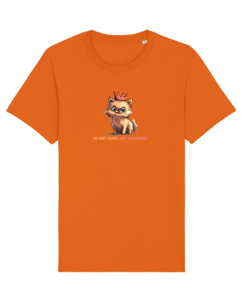 NU SUNT SCUND, SUNT CONCENTRAT - POMERANIAN Bright Orange