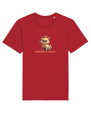 NU SUNT SCUND, SUNT CONCENTRAT - POMERANIAN Red