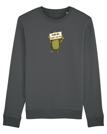 NOT SHY, I JUST DON`T LIKE YOU - CACTUS Anthracite
