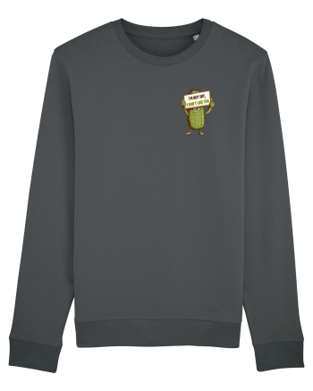 NOT SHY, I JUST DON`T LIKE YOU - CACTUS lateral Anthracite