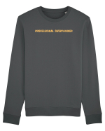 PROFESSIONAL OVERTHINKER Bluză mânecă lungă Unisex Rise