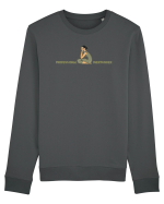 PROFESSIONAL OVERTHINKER - GANDITOAREA DE LA HAMANGIA  Bluză mânecă lungă Unisex Rise