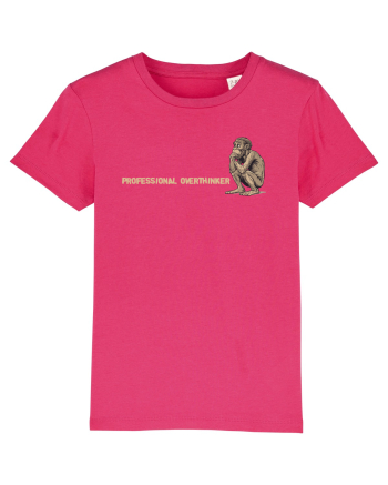 PROFESSIONAL OVERTHINKER - GANDITORUL - OM PRIMITIV  2 lateral Raspberry