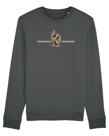 PROFESSIONAL OVERTHINKER - GANDITORUL - OM PRIMITIV  2  Anthracite