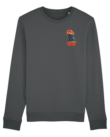 TOO SASSY FOR YOU - PAPAGAL 2 lateral  Anthracite