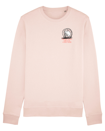 YOU SAY CRAZY LIKE IT`S A BAD THING - HAMSTER lateral Candy Pink