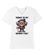 Today Is My Grumpy Day | Grandpa | Bunicul Tafnos Tricou mânecă scurtă guler V Bărbat Presenter