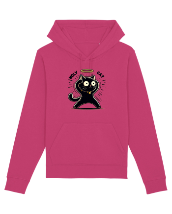 Holy cat 1 Raspberry