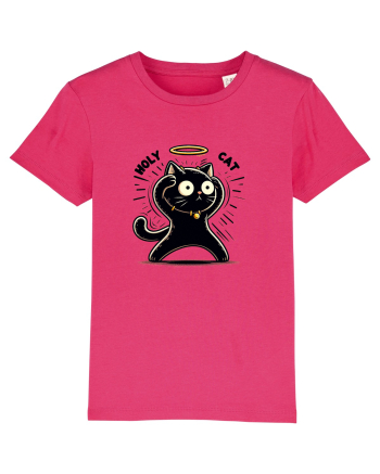Holy cat 1 Raspberry