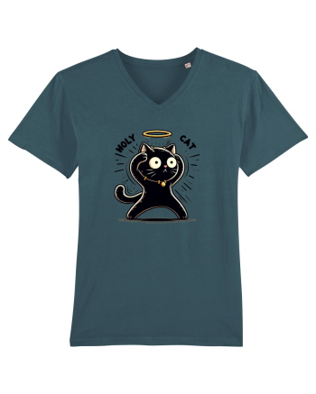Holy cat 1 Stargazer