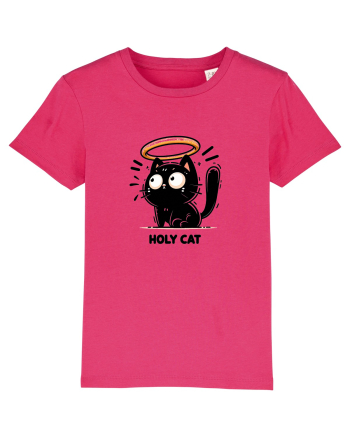 Holy cat 2 Raspberry