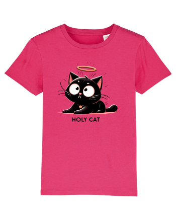 Holy cat 3 Raspberry